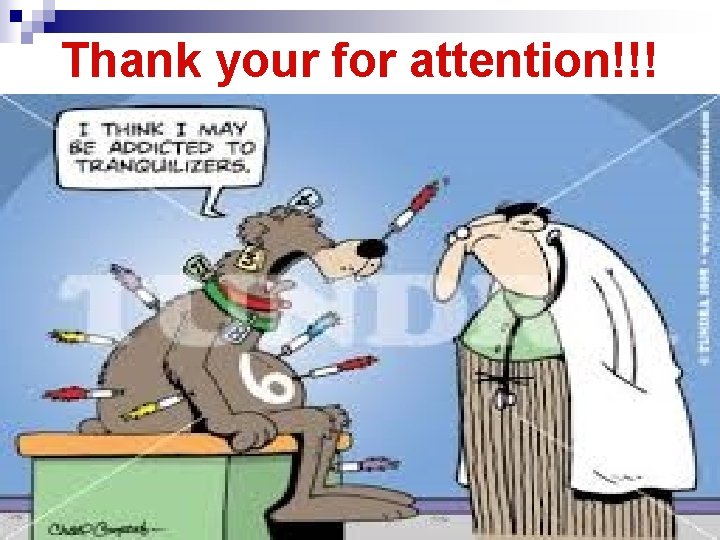 Thank your for attention!!! 