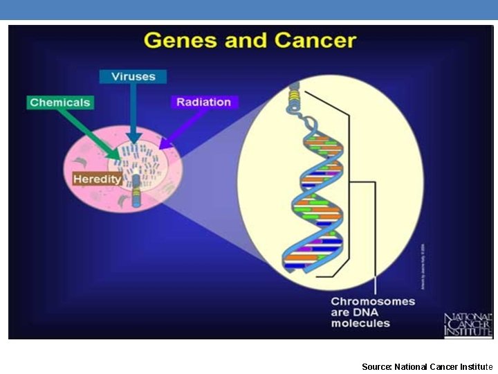 Source: National Cancer Institute Source: National Cancer Institute
