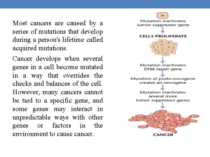 Most cancers are caused by a series of mutations that develop during a person's Most cancers are caused by a series of mutations that develop during a person's