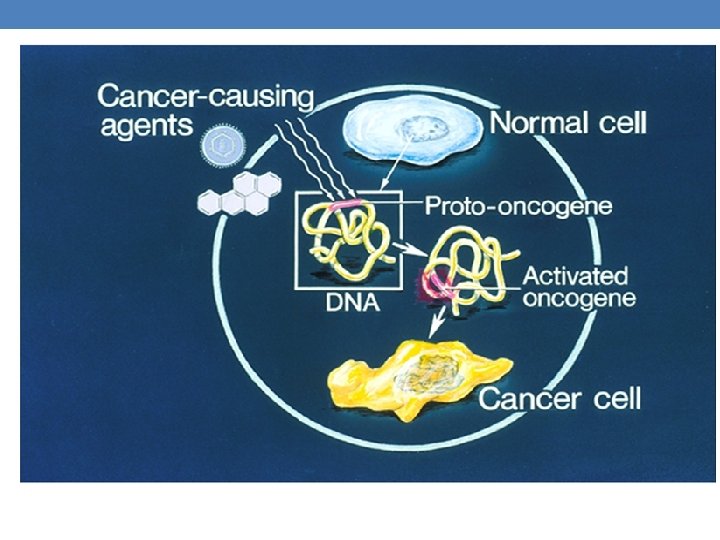 Source: http: //cancergenome. nih. gov Source: http: //cancergenome. nih. gov