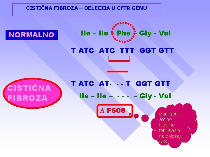 CISTIČNA FIBROZA – DELECIJA U CFTR GENU NORMALNO Ile – Phe – Gly -