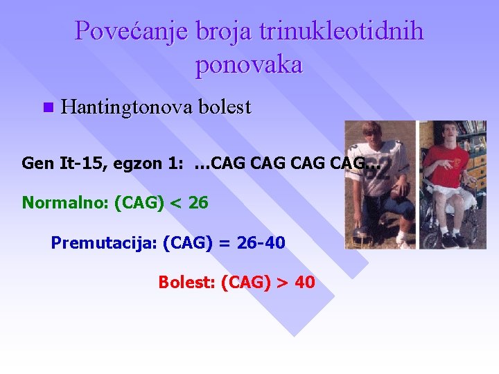 Povećanje broja trinukleotidnih ponovaka n Hantingtonova bolest Gen It-15, egzon 1: …CAG CAG CAG…