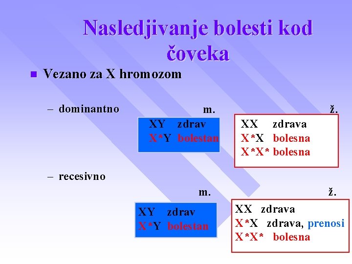 Nasledjivanje bolesti kod čoveka n Vezano za X hromozom – dominantno m. XY zdrav