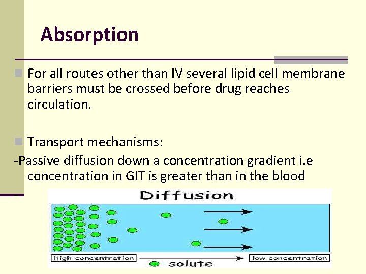 Absorption n For all routes other than IV several lipid cell membrane barriers must Absorption n For all routes other than IV several lipid cell membrane barriers must