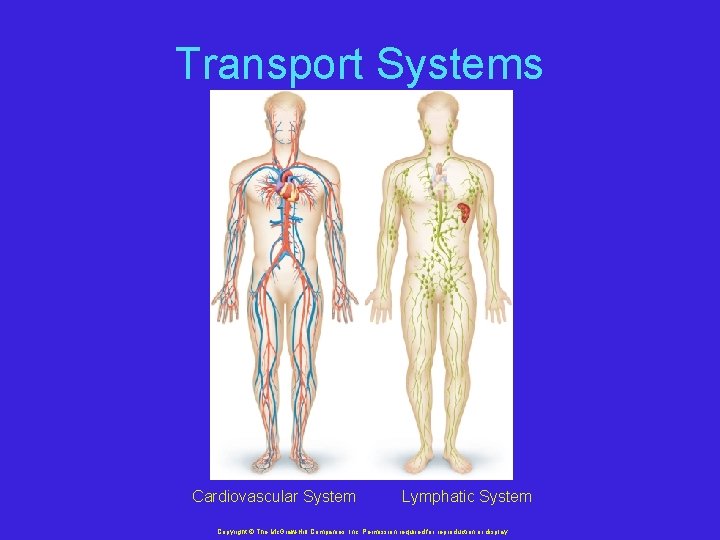 Transport Systems Cardiovascular System Lymphatic System Copyright © The Mc. Graw-Hill Companies, Inc. Permission