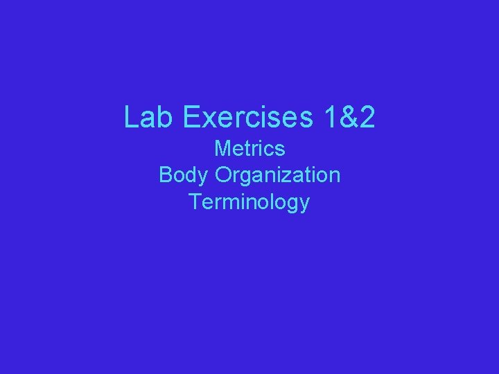Lab Exercises 1&2 Metrics Body Organization Terminology 