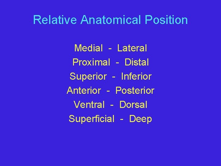 Relative Anatomical Position Medial - Lateral Proximal - Distal Superior - Inferior Anterior -