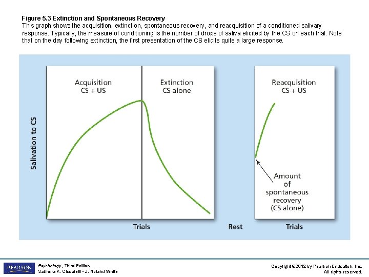 Figure 5. 3 Extinction and Spontaneous Recovery This graph shows the acquisition, extinction, spontaneous