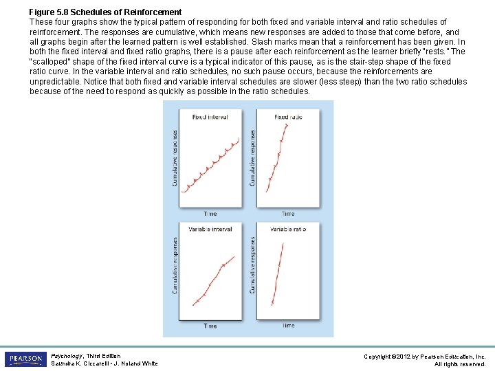 Figure 5. 8 Schedules of Reinforcement These four graphs show the typical pattern of