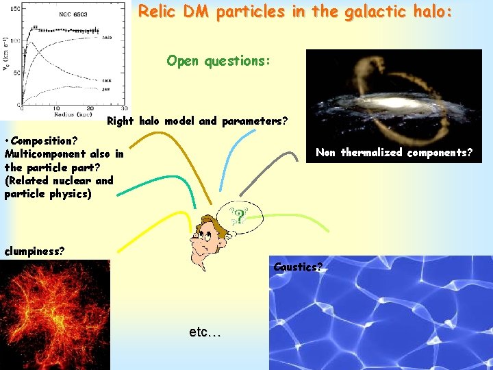 Relic DM particles in the galactic halo: Open questions: Right halo model and parameters?