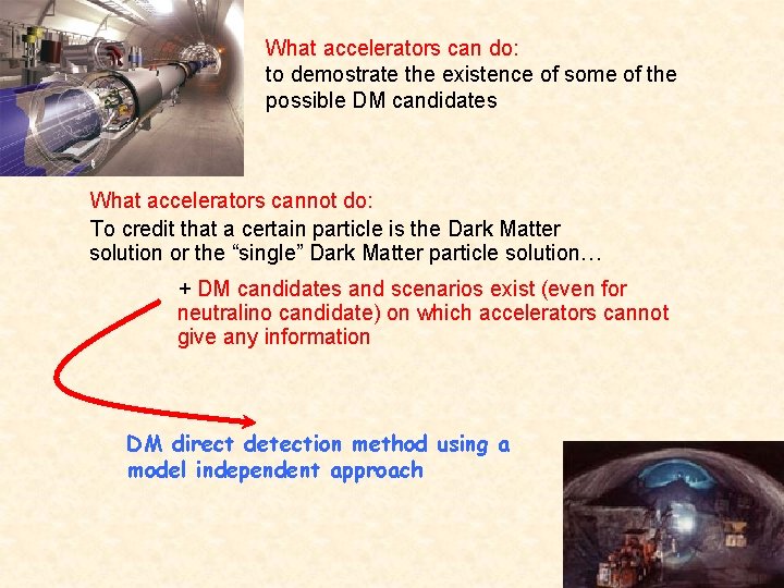 What accelerators can do: to demostrate the existence of some of the possible DM