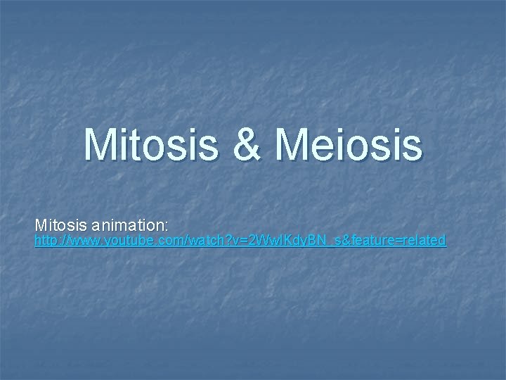 Mitosis & Meiosis Mitosis animation: http: //www. youtube. com/watch? v=2 Ww. IKdy. BN_s&feature=related 