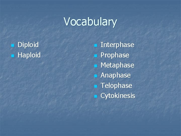 Vocabulary n n Diploid Haploid n n n Interphase Prophase Metaphase Anaphase Telophase Cytokinesis