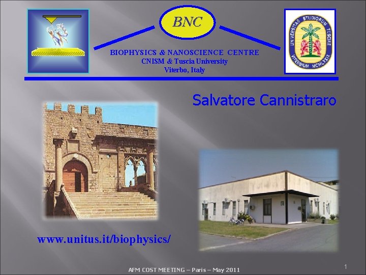 BNC BIOPHYSICS & NANOSCIENCE CENTRE CNISM & Tuscia University Viterbo, Italy Salvatore Cannistraro www.