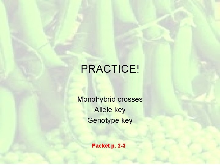 PRACTICE! Monohybrid crosses Allele key Genotype key Packet p. 2 -3 