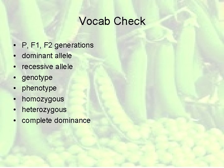 Vocab Check • • P, F 1, F 2 generations dominant allele recessive allele