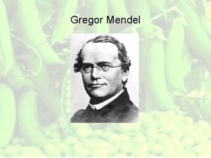 Gregor Mendel 