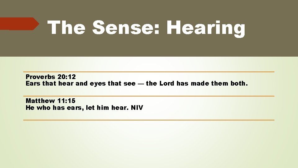 The Sense: Hearing Proverbs 20: 12 Ears that hear and eyes that see —