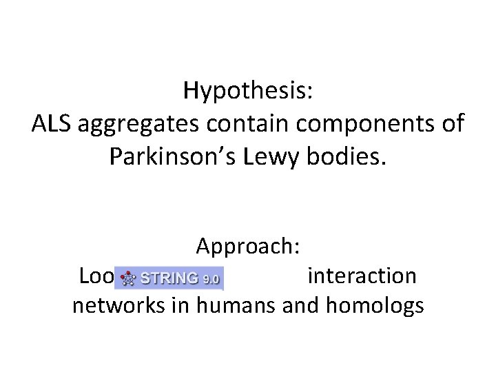 Hypothesis: ALS aggregates contain components of Parkinson’s Lewy bodies. Approach: Look at interaction networks