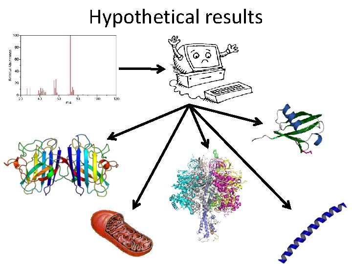 Hypothetical results 