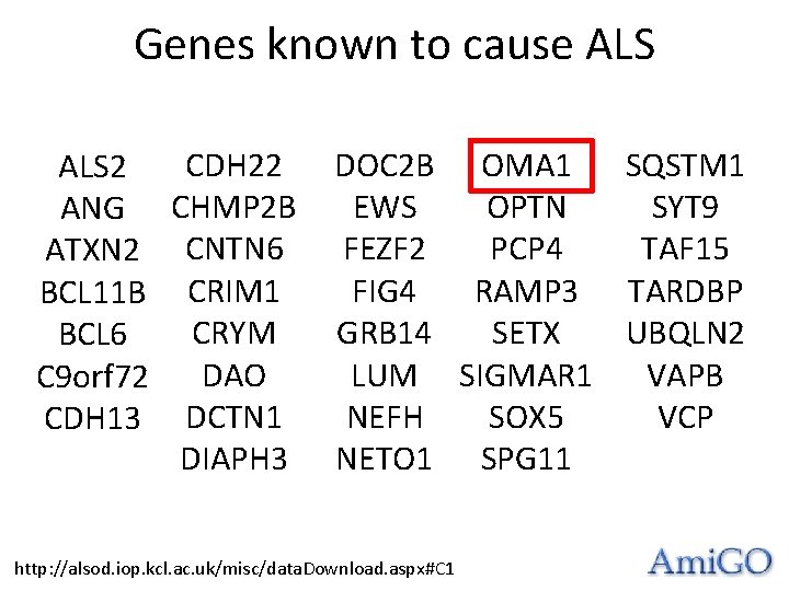 Genes known to cause ALS CDH 22 ALS 2 ANG CHMP 2 B ATXN