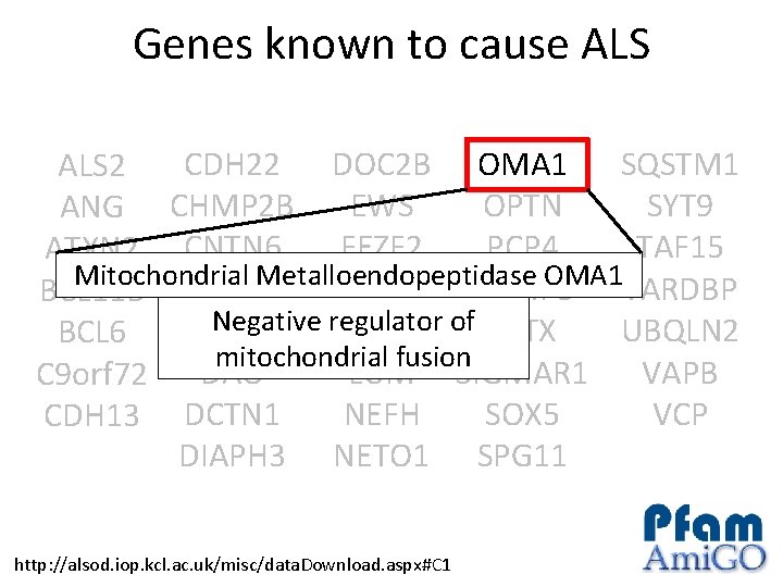 Genes known to cause ALS CDH 22 DOC 2 B OMA 1 SQSTM 1