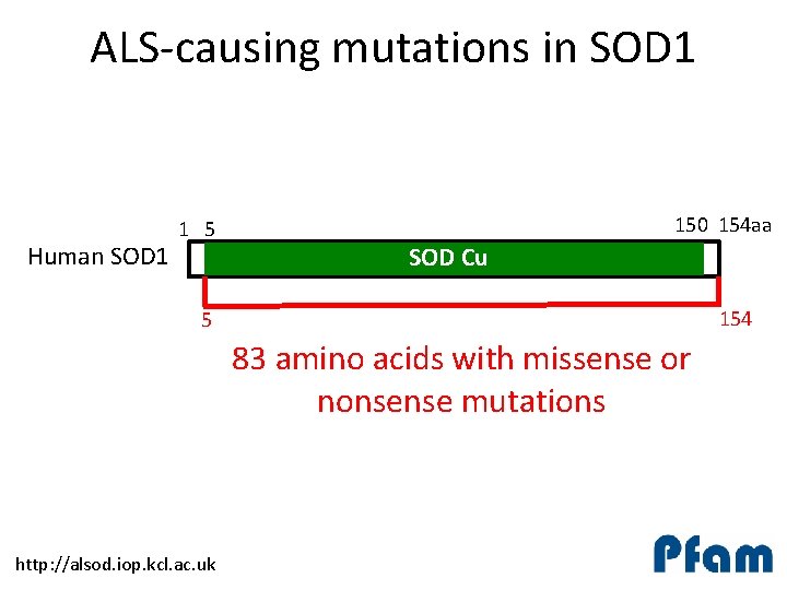 ALS-causing mutations in SOD 1 Human SOD 1 1 5 150 154 aa SOD