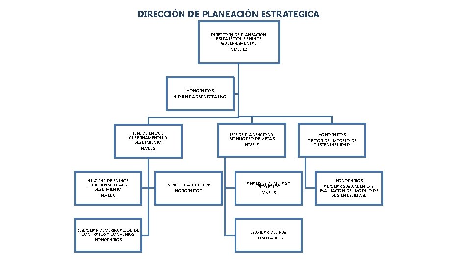 DIRECCIÓN DE PLANEACIÓN ESTRATEGICA DIRECTORA DE PLANEACIÓN ESTRATÉGICA Y ENLACE GUBERNAMENTAL NIVEL 12 HONORARIOS