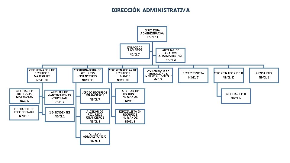 DIRECCIÓN ADMINISTRATIVA DIRECTORA ADMINISTRATIVA NIVEL 13 ENLACE DE ARCHIVOS NIVEL 5 AUXILIAR DE ANALISIS