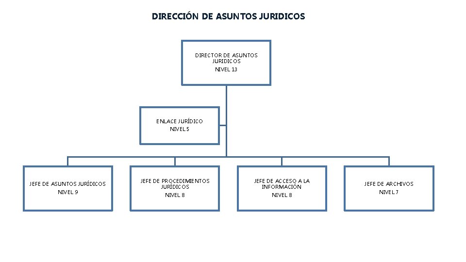 DIRECCIÓN DE ASUNTOS JURIDICOS DIRECTOR DE ASUNTOS JURIDICOS NIVEL 13 ENLACE JURÍDICO NIVEL 5 DIRECCIÓN DE ASUNTOS JURIDICOS DIRECTOR DE ASUNTOS JURIDICOS NIVEL 13 ENLACE JURÍDICO NIVEL 5