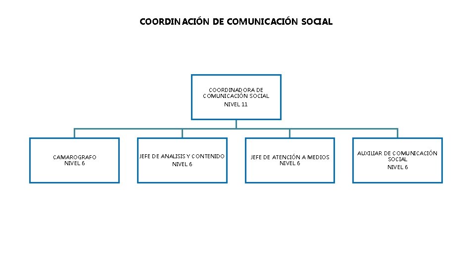 COORDINACIÓN DE COMUNICACIÓN SOCIAL COORDINADORA DE COMUNICACIÓN SOCIAL NIVEL 11 CAMAROGRAFO NIVEL 6 JEFE