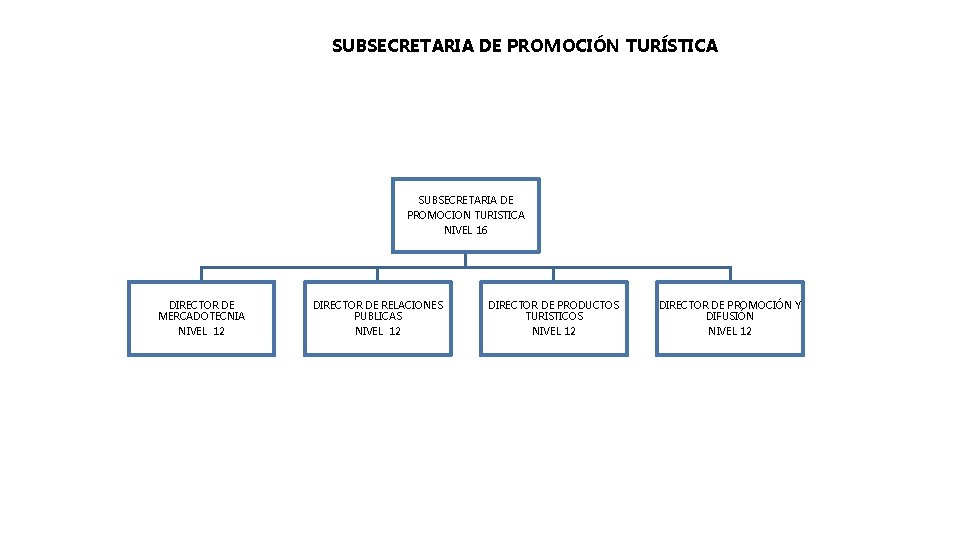 SUBSECRETARIA DE PROMOCIÓN TURÍSTICA SUBSECRETARIA DE PROMOCION TURISTICA NIVEL 16 DIRECTOR DE MERCADOTECNIA NIVEL