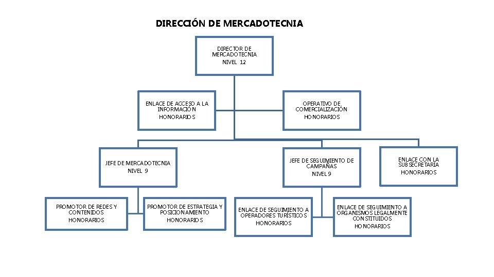 DIRECCIÓN DE MERCADOTECNIA DIRECTOR DE MERCADOTECNIA NIVEL 12 ENLACE DE ACCESO A LA INFORMACIÓN