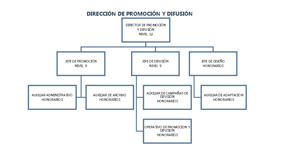 DIRECCIÓN DE PROMOCIÓN Y DIFUSIÓN DIRECTOR DE PROMOCIÓN Y DIFUSIÓN NIVEL 12 JEFE DE