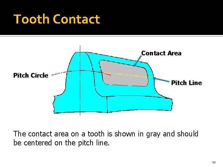 Tooth Contact Area Pitch Circle Pitch Line The contact area on a tooth is