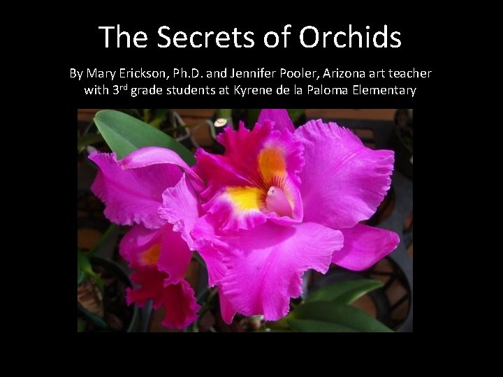 The Secrets of Orchids By Mary Erickson, Ph. D. and Jennifer Pooler, Arizona art
