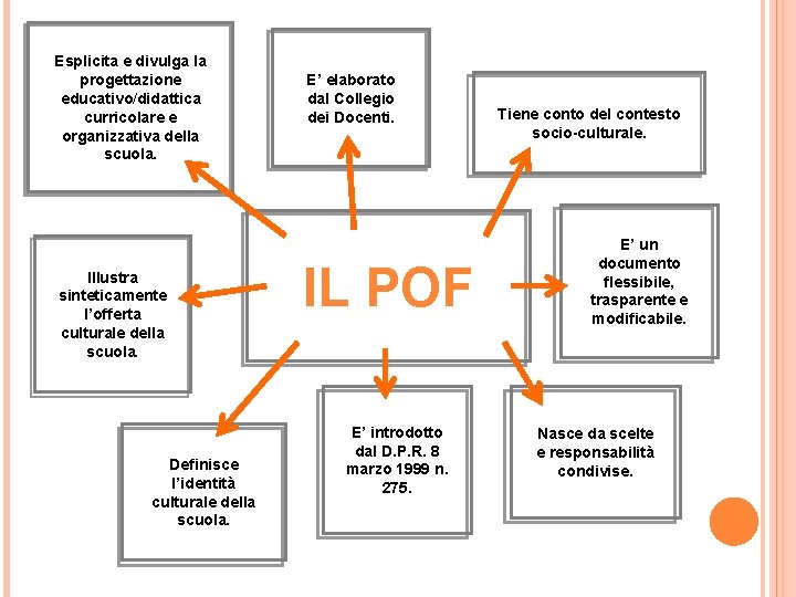 Esplicita e divulga la progettazione educativo/didattica curricolare e organizzativa della scuola. Illustra sinteticamente l’offerta