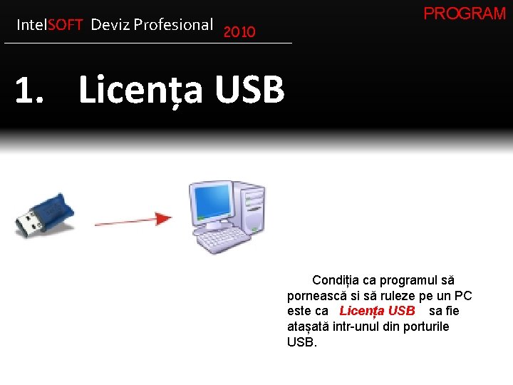 Intel. SOFT Deviz Profesional 2010 PROGRAM 1. Licența USB Condiția ca programul să pornească