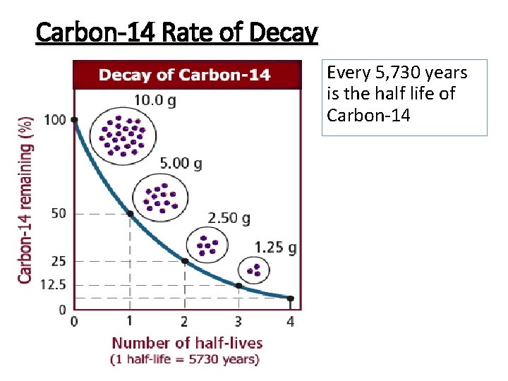 Carbon-14 Rate of Decay Every 5, 730 years is the half life of Carbon-14