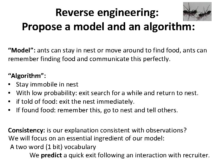 Reverse engineering: Propose a model and an algorithm: “Model”: ants can stay in nest
