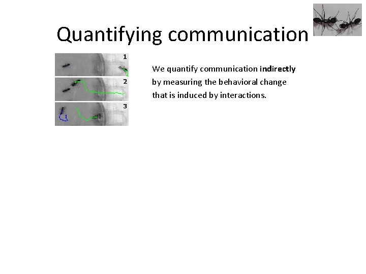 Quantifying communication We quantify communication indirectly by measuring the behavioral change that is induced
