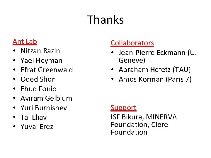Thanks Ant Lab • Nitzan Razin • Yael Heyman • Efrat Greenwald • Oded