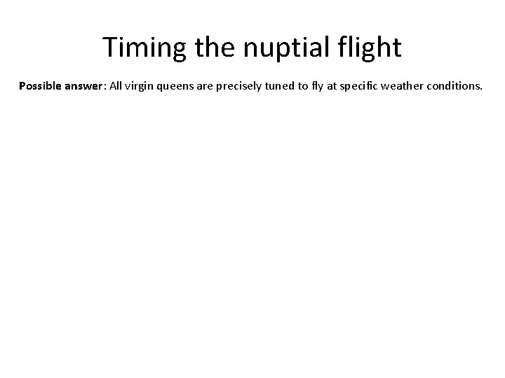 Timing the nuptial flight Possible answer: All virgin queens are precisely tuned to fly