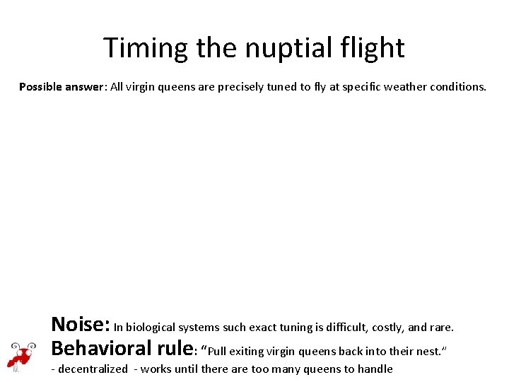 Timing the nuptial flight Possible answer: All virgin queens are precisely tuned to fly