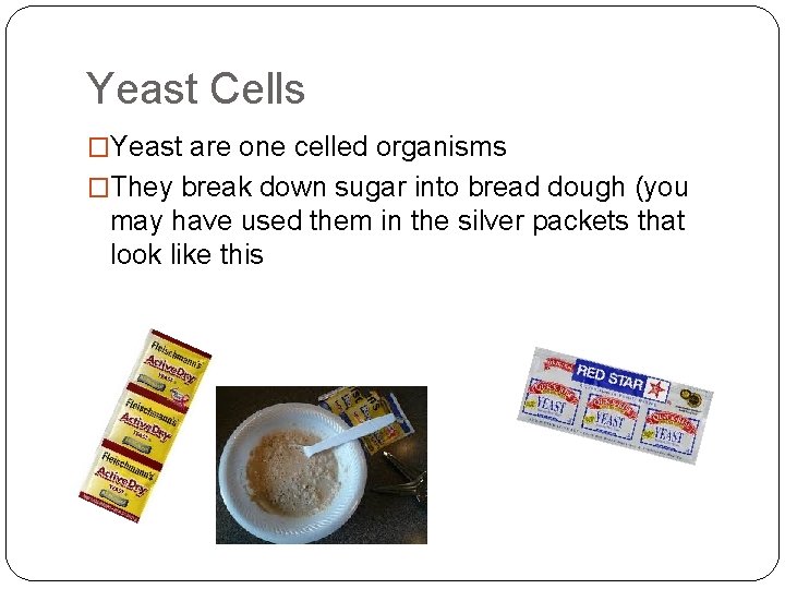 Yeast Cells �Yeast are one celled organisms �They break down sugar into bread dough