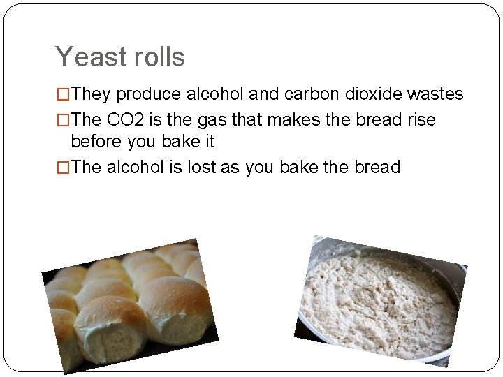 Yeast rolls �They produce alcohol and carbon dioxide wastes �The CO 2 is the