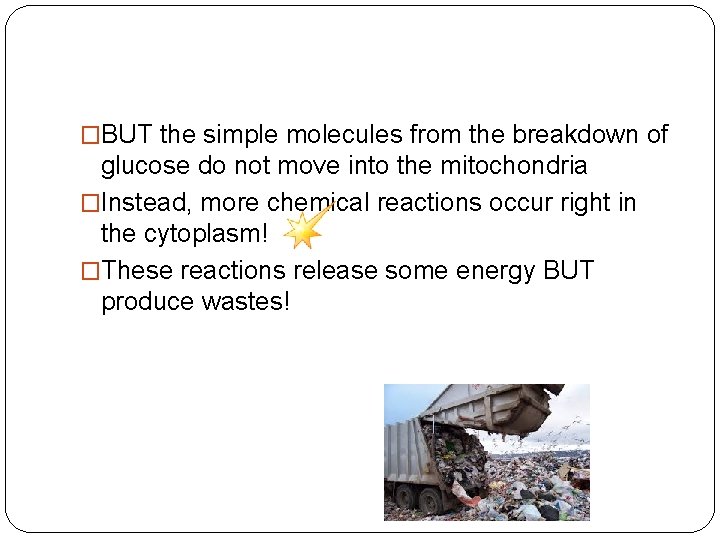 �BUT the simple molecules from the breakdown of glucose do not move into the