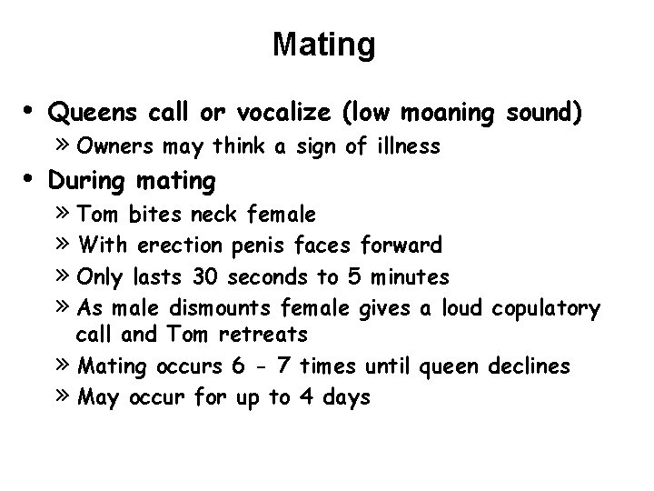 Mating • • Queens call or vocalize (low moaning sound) » Owners may think Mating • • Queens call or vocalize (low moaning sound) » Owners may think