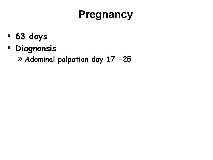 Pregnancy • • 63 days Diagnonsis » Adominal palpation day 17 -25 Pregnancy • • 63 days Diagnonsis » Adominal palpation day 17 -25