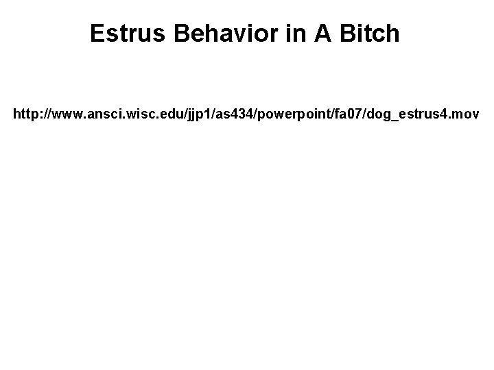 Estrus Behavior in A Bitch http: //www. ansci. wisc. edu/jjp 1/as 434/powerpoint/fa 07/dog_estrus 4. Estrus Behavior in A Bitch http: //www. ansci. wisc. edu/jjp 1/as 434/powerpoint/fa 07/dog_estrus 4.
